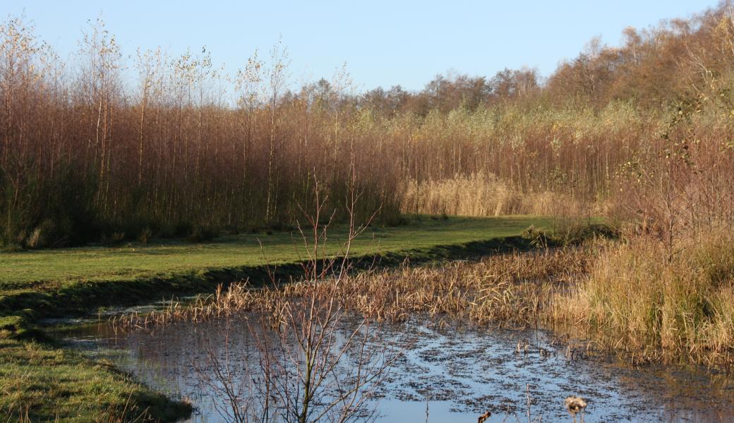 Stroperbos begrazingsblok 