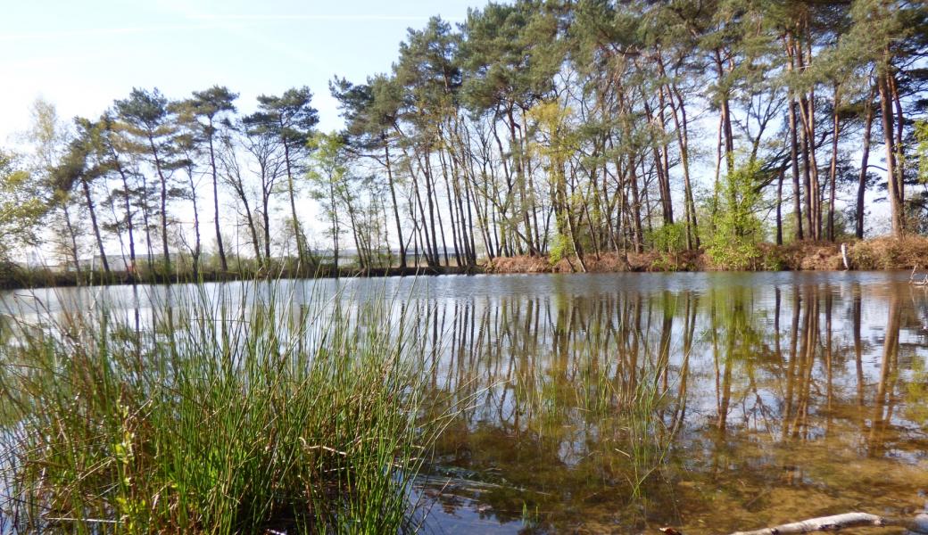 zicht op het water