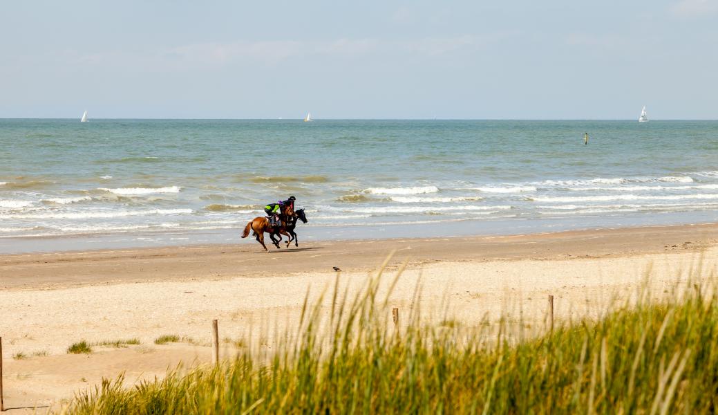 ruiters op het strand