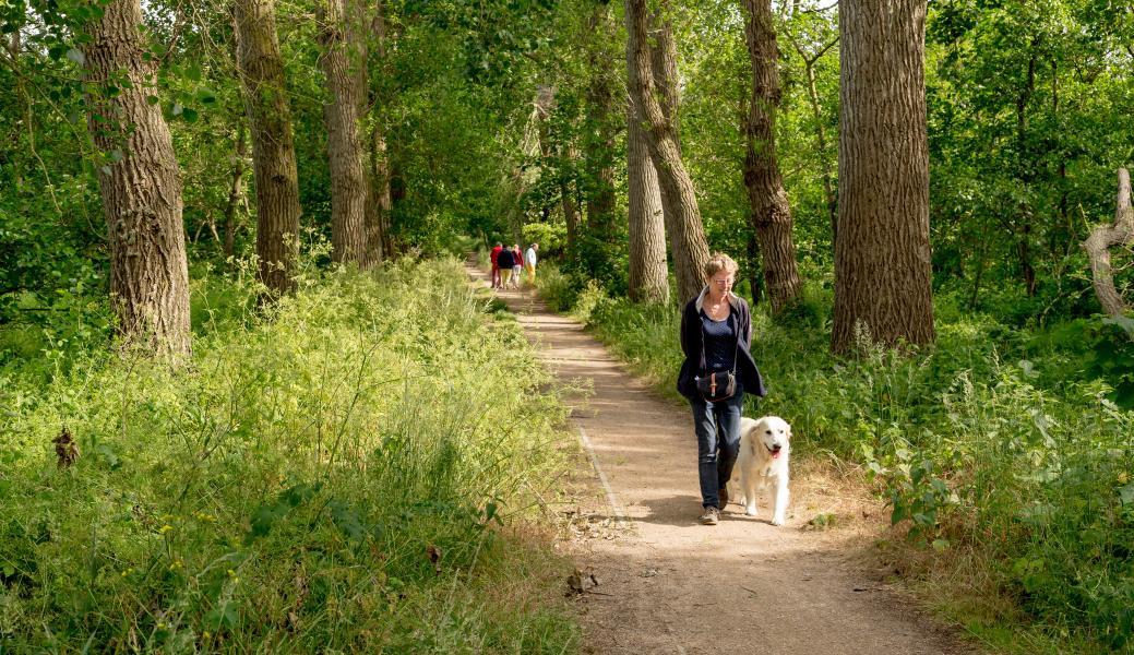wandelaar met hond
