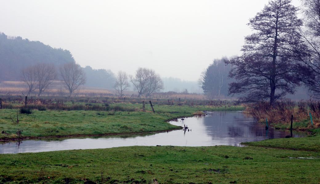 Natuurbeeld zonder beschrijving
