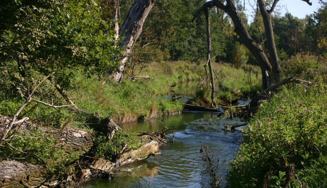 Natuurbeeld zonder beschrijving