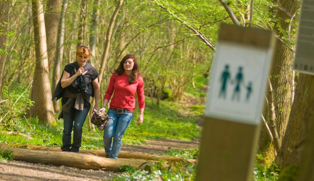 Wandelen