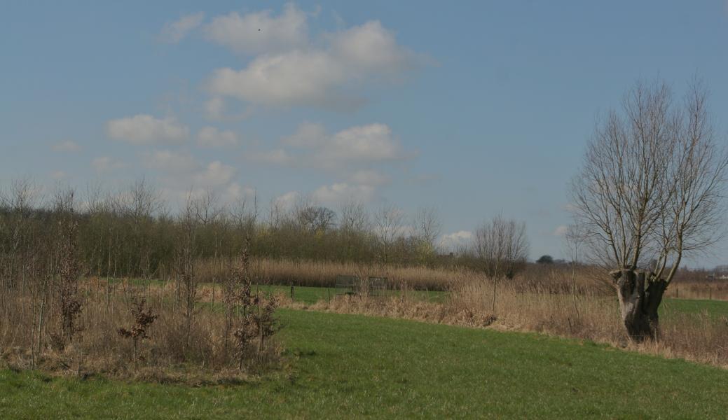 zicht op het landschap