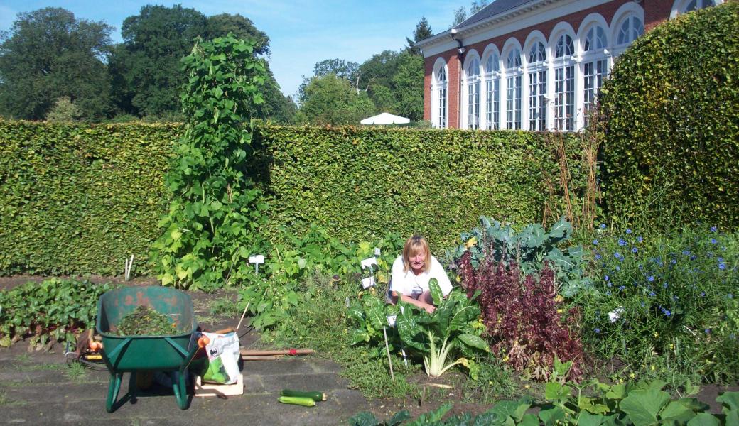 moestuinen in Vordenstein