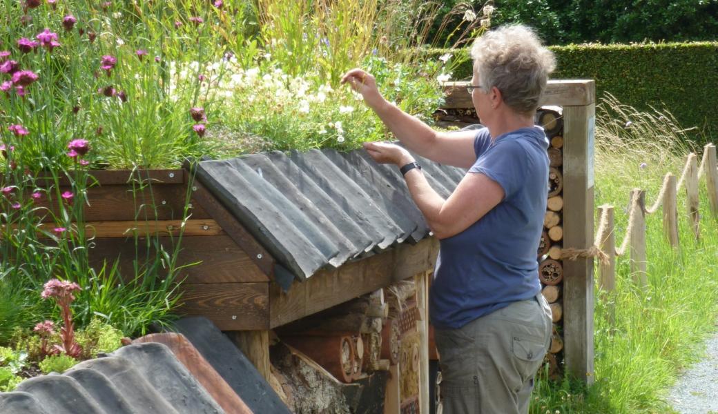 Mevrouw doet onderhoud van het groendak