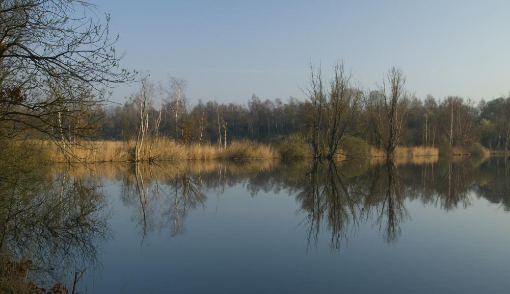 zicht over het water met op de achtergrond bomen
