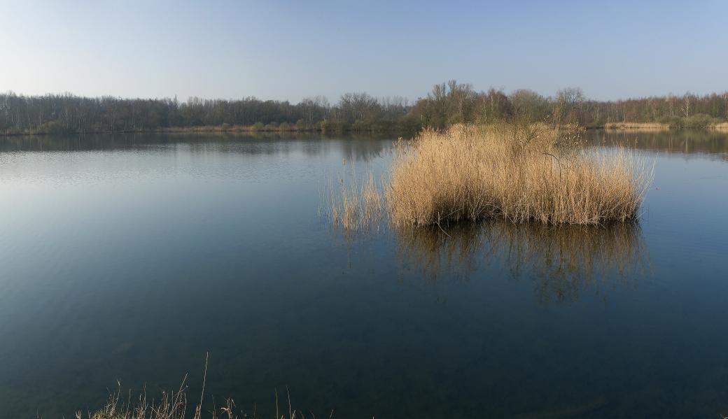 zicht op water
