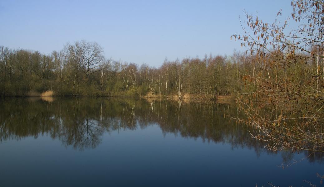 zicht over het water met op de achtergrond bomen