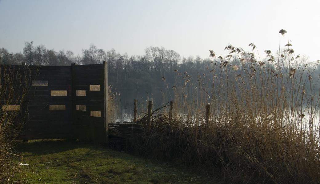 de kijkwand