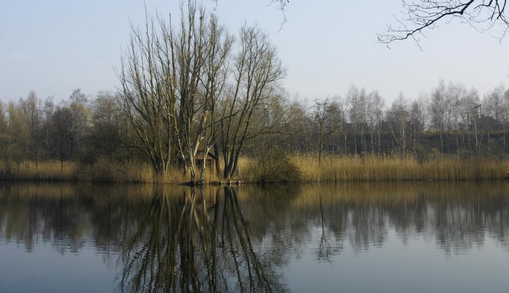 zicht over het water met op de achtergrond bomen