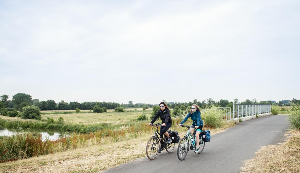 Natuurbeeld zonder beschrijving