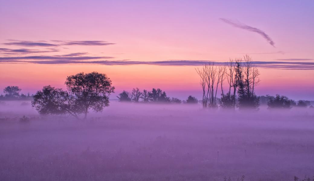 Natuurbeeld zonder beschrijving