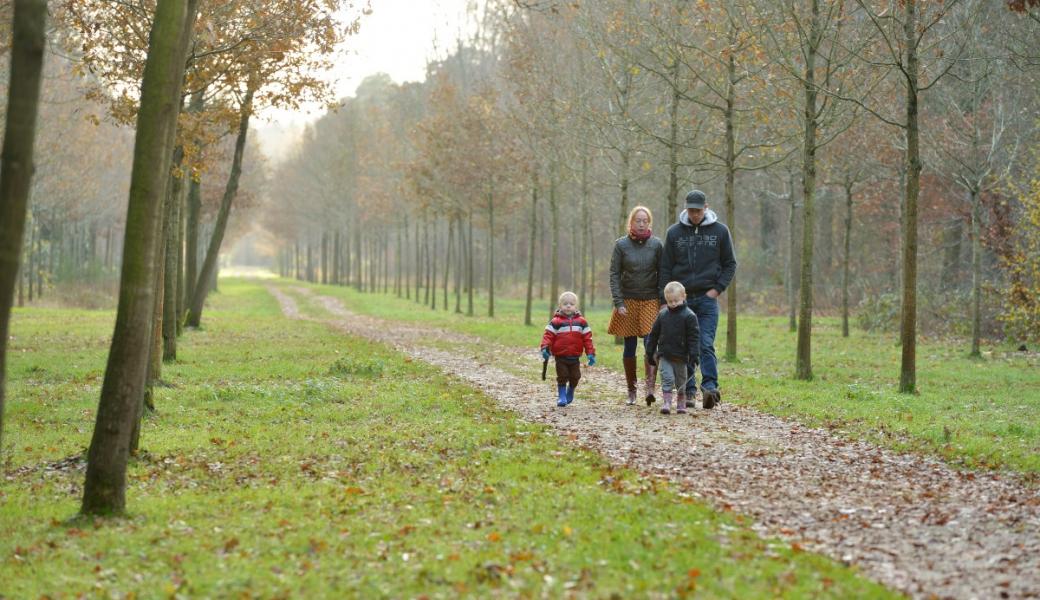 wandelaars in het bos