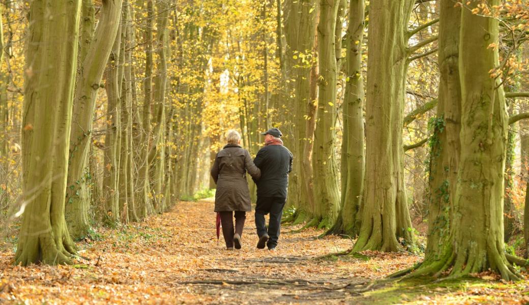 wandelaars in het bos