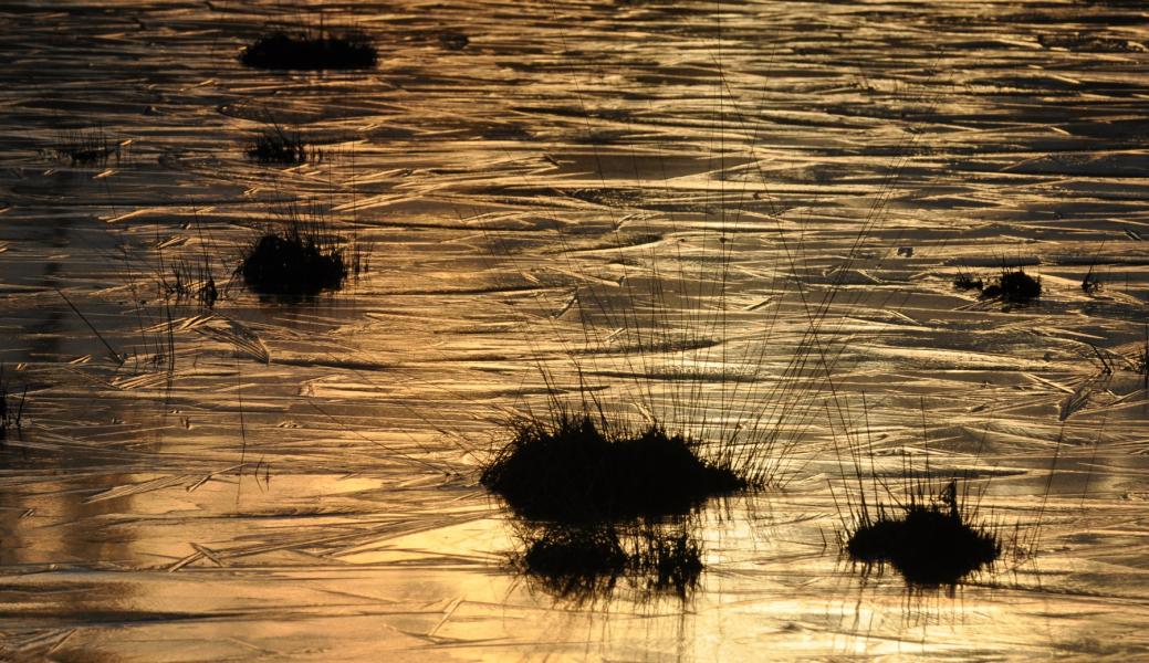 zicht op het water