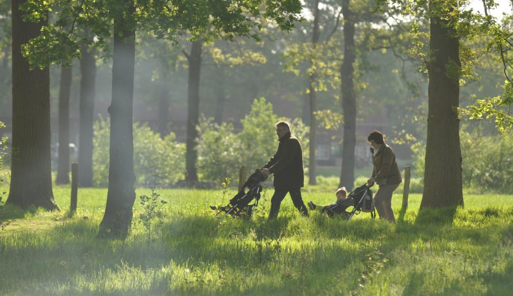 twee wandelaars met kinderwagens