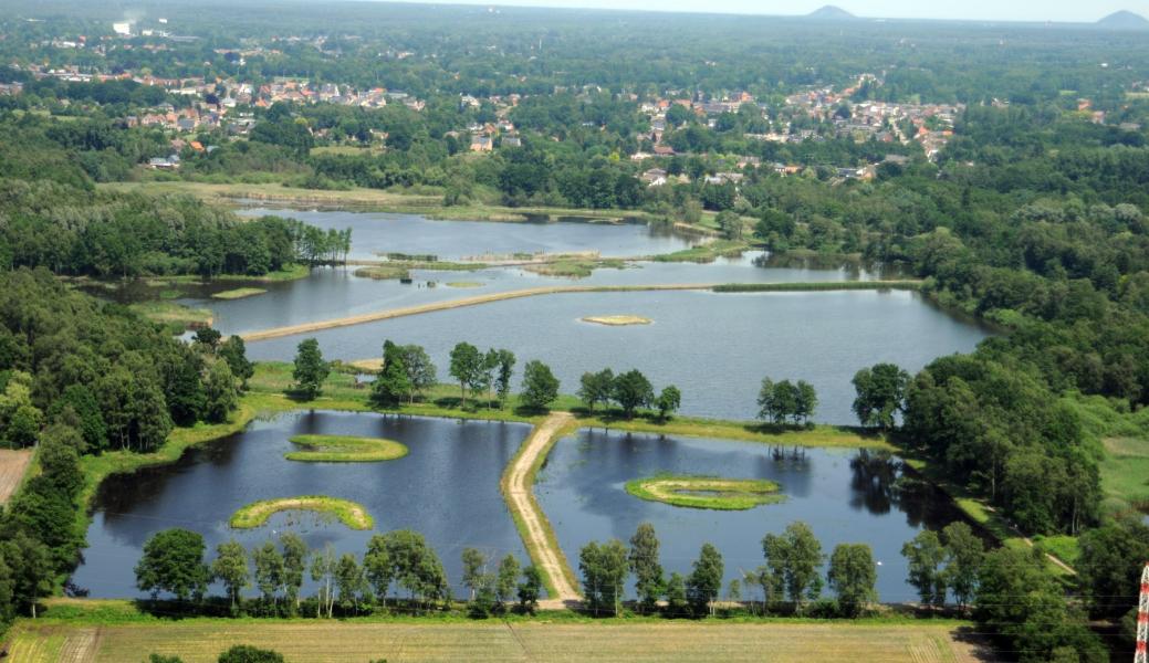 broedeilanden in De Wijers