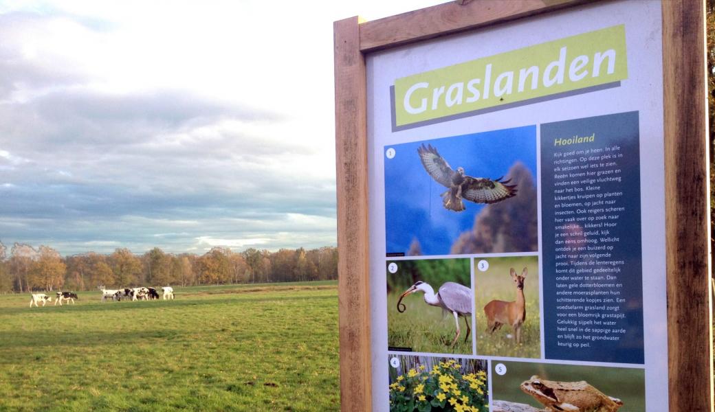 infobord over de graslanden