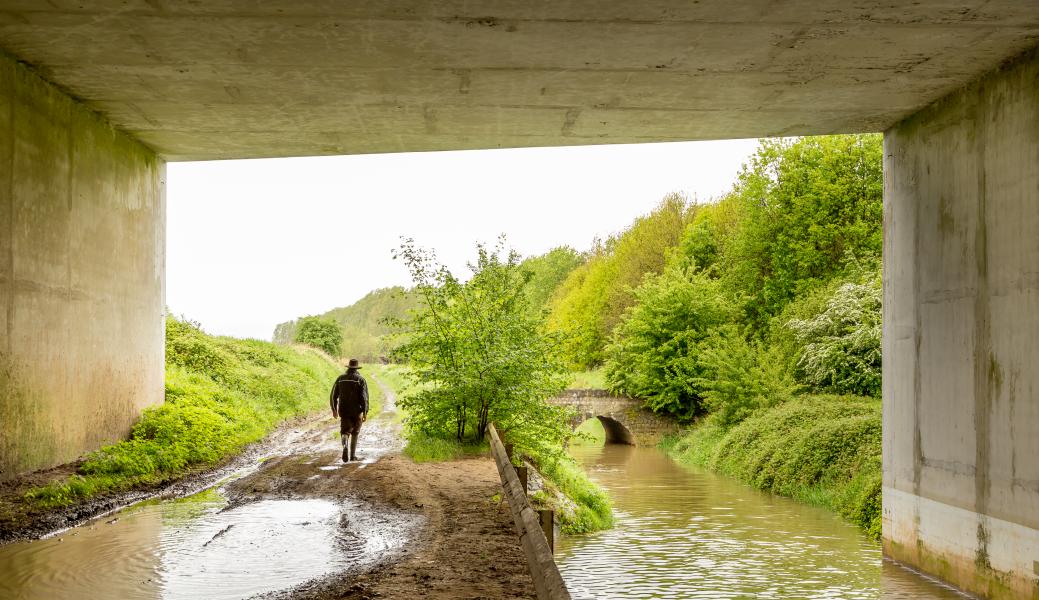 wandelaar onder de brug