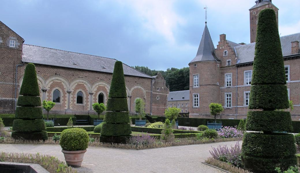taxus massieven