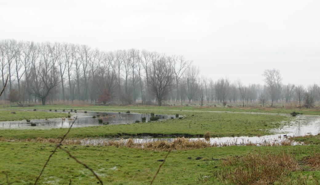 water in het landschap