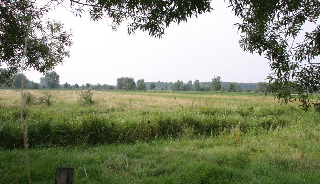 zicht op het landschap