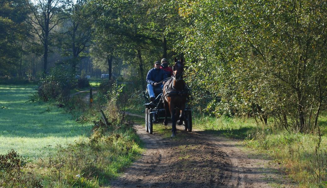 Natuurbeeld zonder beschrijving