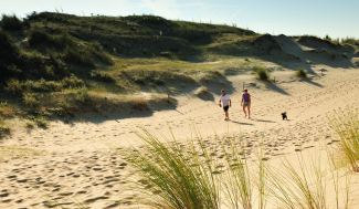 Wandelaars doen een Groene Haltewandeling