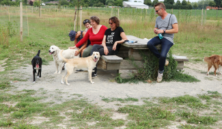 Honden en baasjes samen in de hondenzone