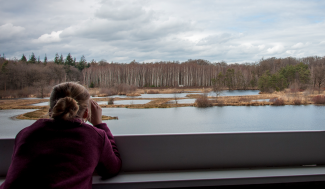 Zicht vanuit de uitkijktoren bij de Aanwijsputten