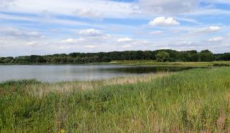 Landschap Blokkersdijk