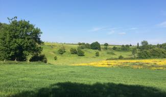 Landschap Bollenberg