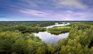 Luchtbeeld Bosland