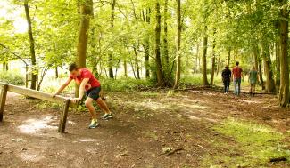 Wandelaars in het bos