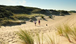 Wandelaars in de duinen