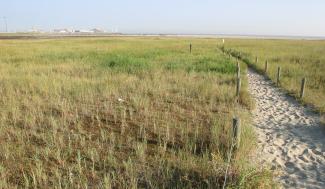 Landschapsbeeld