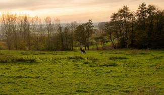 Landschapsfoto