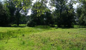 Landschap Binnenveld