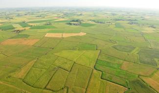 Luchtbeeld komgronden