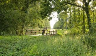 Man op wandelbrug