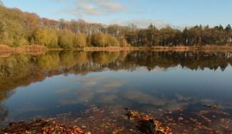 Landschapsbeeld