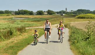 Fietsers in de polders