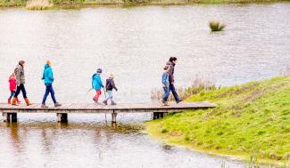Wandelaars op brug