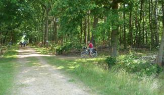 Recreanten in het bos