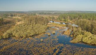 Luchtbeeld