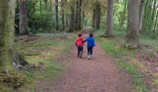 Kinderen op het bospad