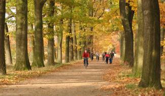 Fietsers en wandelaars