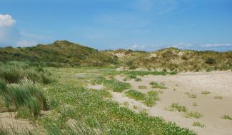 Duinenlandschap
