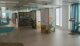 Expo